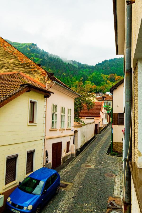 Ardor Apt - Bright And Secluded Apartment In The Heart Of Old Town Brašov Exteriér fotografie